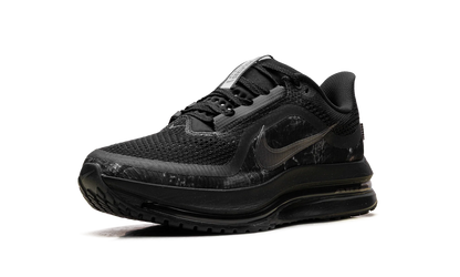 Nike Pegasus Premium "Realtree" IF9630 001
