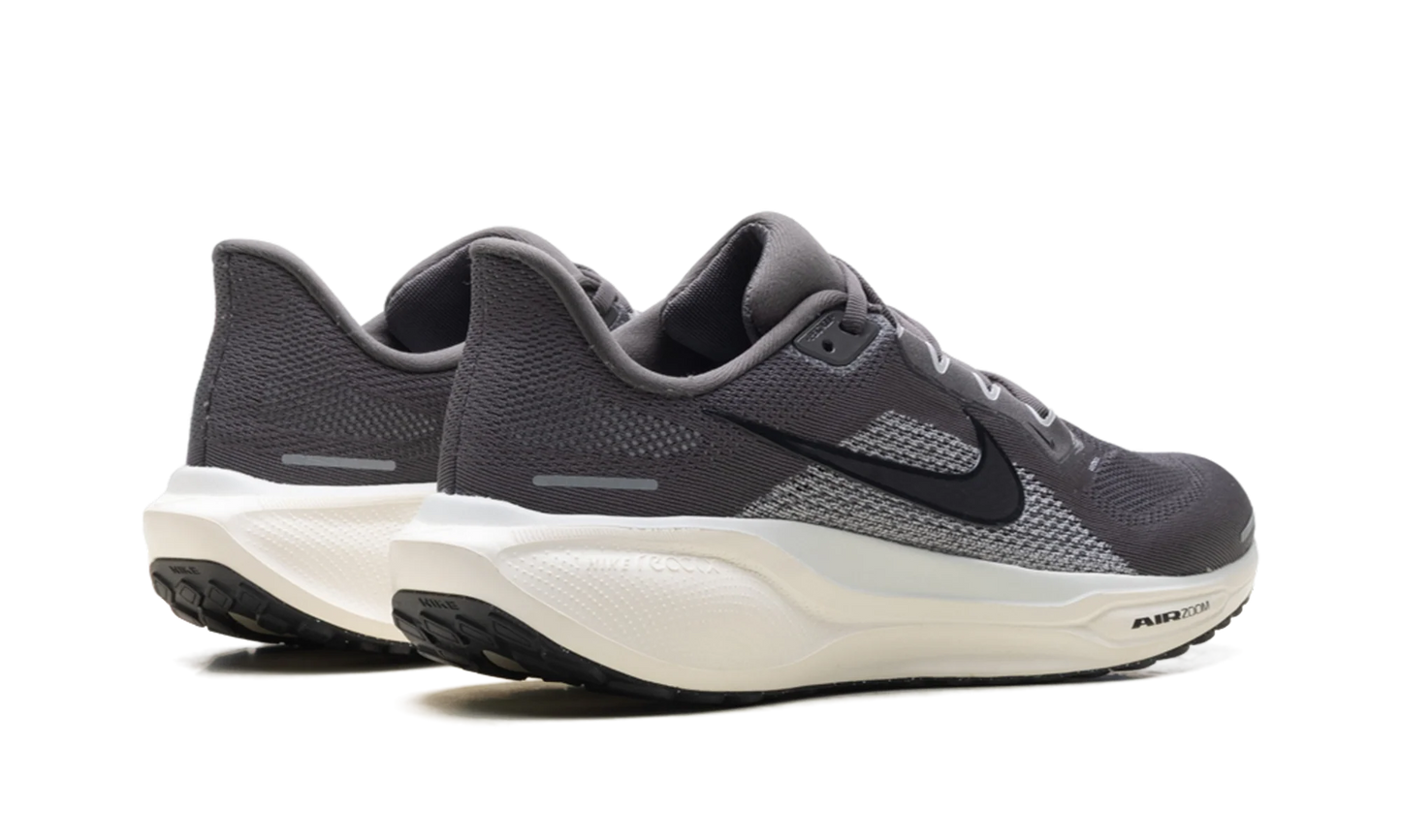 Air Zoom Pegasus 41 "Medium Ash Pure Platinum" FD2722 215